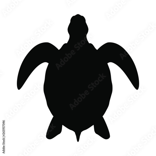 Sea turtle graphic icon. Sea turtle black silhouette isolated on white background. Vector illustration