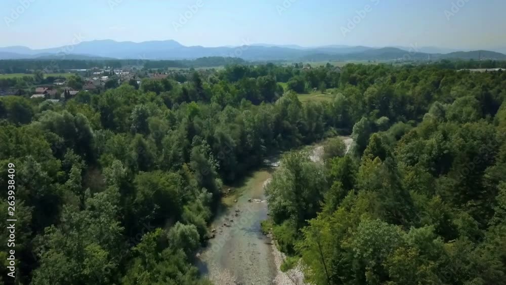 A river is in the middle of a forest. Everything is green. It's a nice summer day. A river is in the middle of a forest. Everything is green. It's a nice summer day.