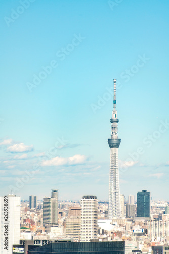 TOKYO, JAPAN - November 23, 2018: Tokyo skytree tower building, Asia business concept for real estate and corporate construction - panoramic urban city skyline aerial view under blue sky