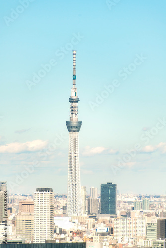 TOKYO, JAPAN - November 23, 2018: Tokyo skytree tower building, Asia business concept for real estate and corporate construction - panoramic urban city skyline aerial view under blue sky