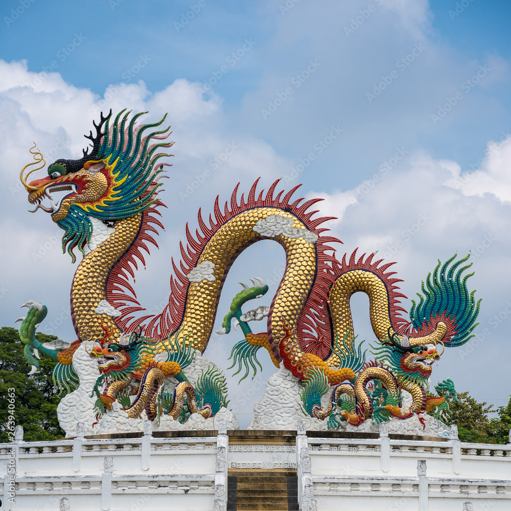 Fototapeta premium dragon china