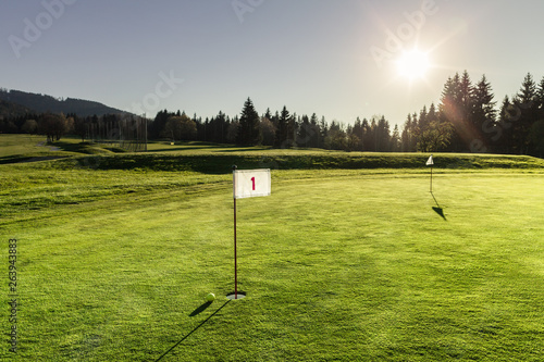 A hit on the golf course is associated with precision, wealth and practice. Characteristics which are important topics in the management and which are also transferred with this picture.