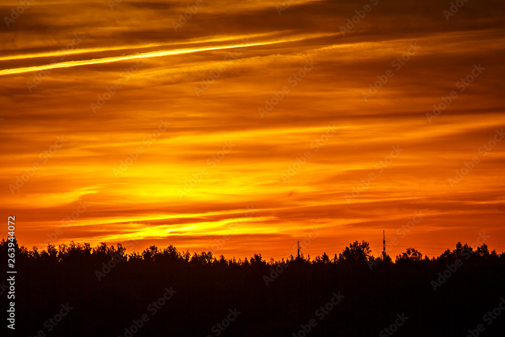 Obraz premium sunset over field