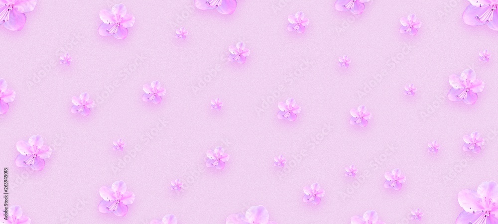 Light pink background with beautiful spring flowers.Congratulatory background. Holiday card.
