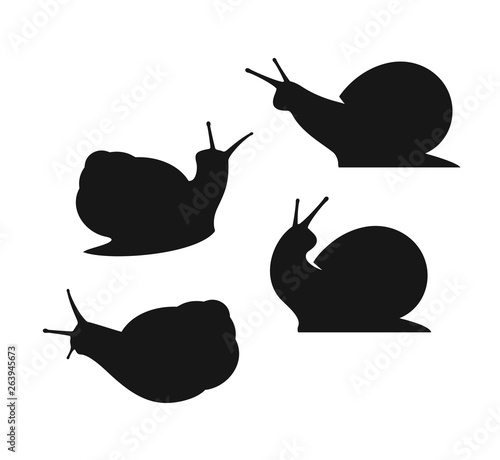 Grape snail silhouette. Isolated snails on white background