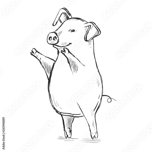 Contour Line Drawing. Funny pig. Hand-drawn. Coloring for kids.