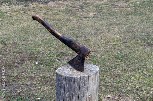 axe in a wooden stump close-up