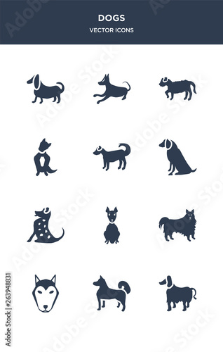 12 dogs vector icons such as afghan hound dog, akita dog, alaskan klee kai dog, american eskimo american hairless terrier contains american leopard hound water spaniel anatolian shepherd austrailian