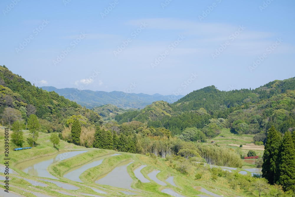 棚田 日本の伝統風景 棚田 日本の伝統風景