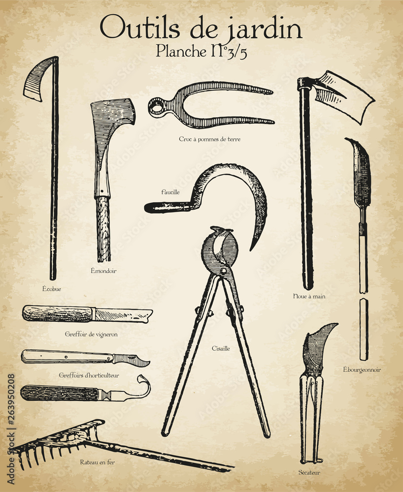 Gravures anciennes outils de jardin et horticulture N°3/5 Stock Vector |  Adobe Stock