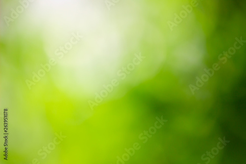 Abstract green background with bright sunlight. presentation template in environment friendly concepts