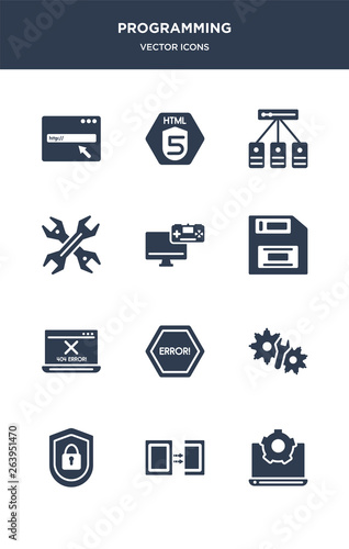 12 programming vector icons such as development, duplicate, encryption, engineering, error contains error 404, floppy disk, game development, hardware, hosting, html5 icons