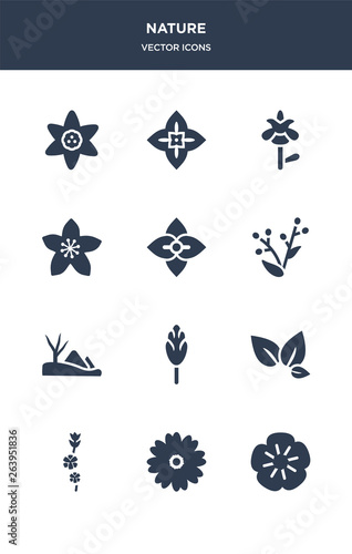12 nature vector icons such as geranium, gerbera, gladiolus, tea, hawthorn contains hills, hyacinth, hydrangea, hypericum, iris, jasmine icons