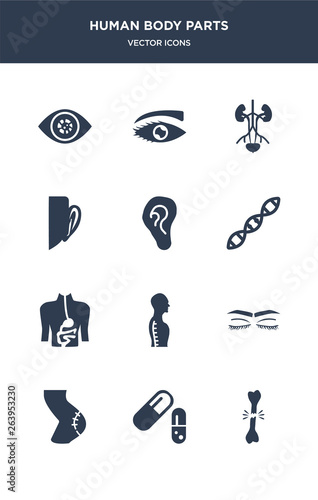 12 human body parts vector icons such as broken bone, capsule black and white variant, cellulite, closed eyes with lashes and brows, column inside a male human body in side view contains digestive