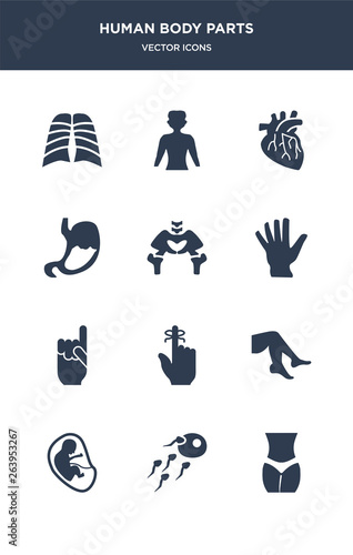 12 human body parts vector icons such as female hips and waist, fertilization, fetus in an uterus, foot side view, hand finger with a ribbon contains hand gesture raising the index finger, hand