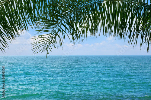 Blue sparkle sea. Beautiful tropical seaside view through the palm leaves 