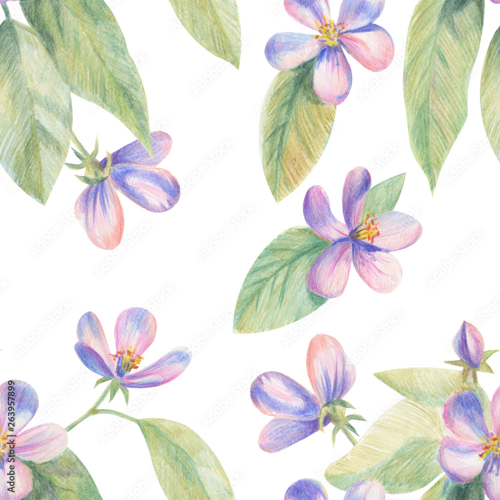 Flowers of apple Sakura drawing with colored pencils. Template for greeting card. Wedding card Flowers of apple Sakura drawing with colored pencils. Template for greeting card. Wedding card