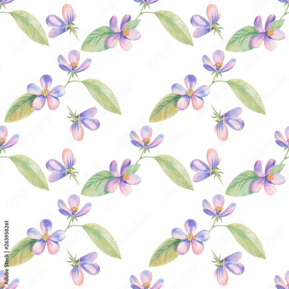 Flowers of apple Sakura drawing with colored pencils. Template for greeting card. Wedding card