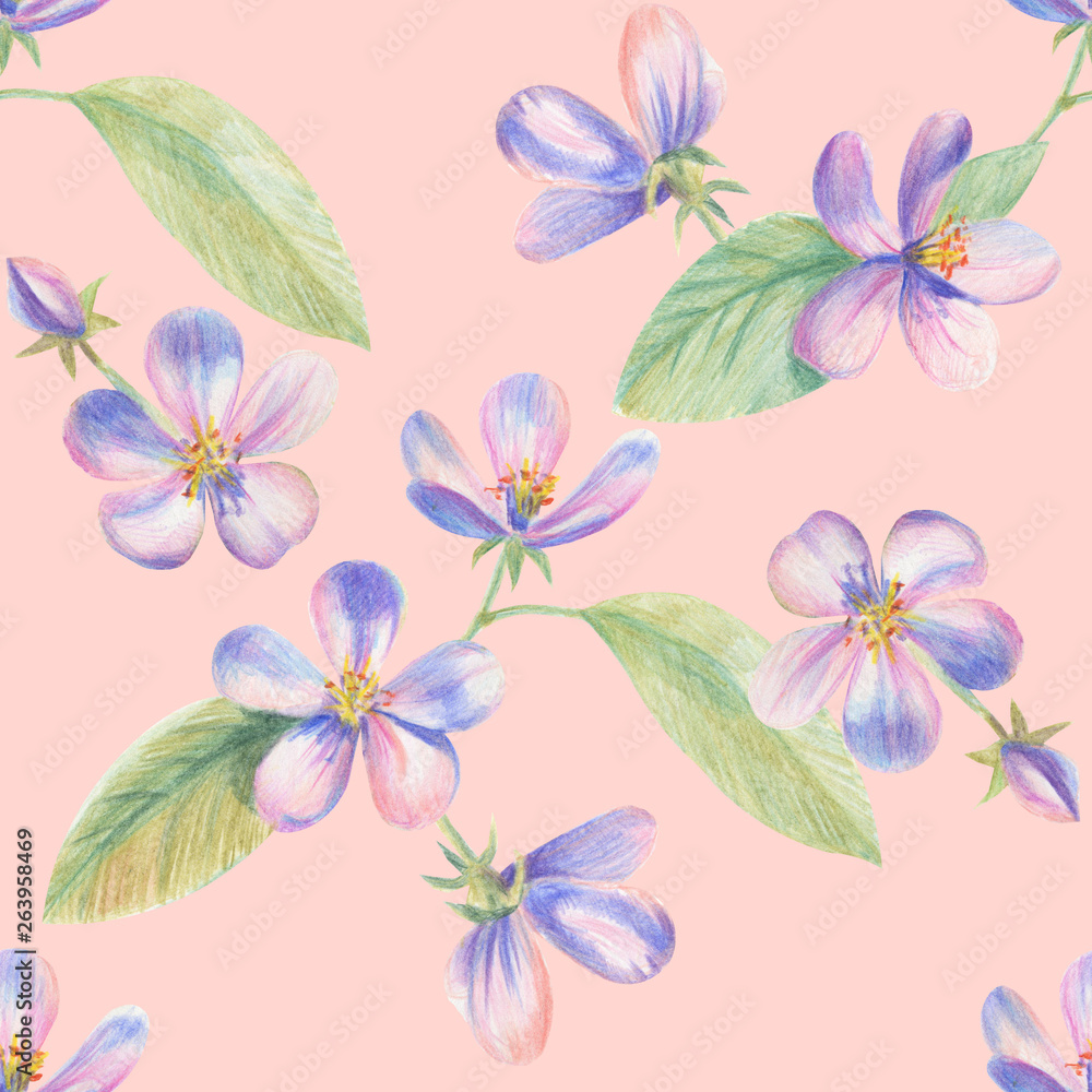 Flowers of apple Sakura drawing with colored pencils. Template for greeting card. Wedding card Flowers of apple Sakura drawing with colored pencils. Template for greeting card. Wedding card