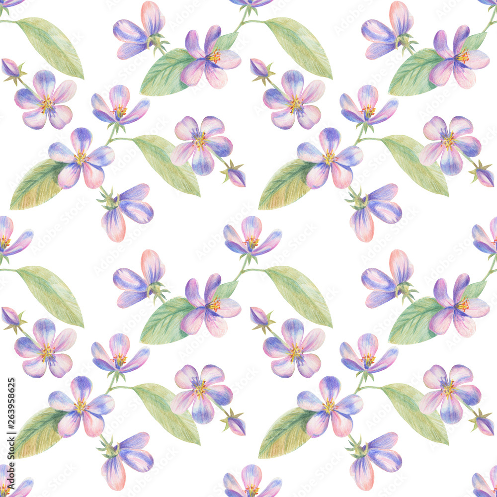 Flowers of apple Sakura drawing with colored pencils. Template for greeting card. Wedding card