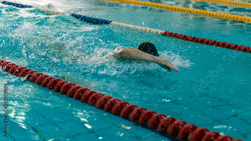 Crawl swimming competitions in the sports pool