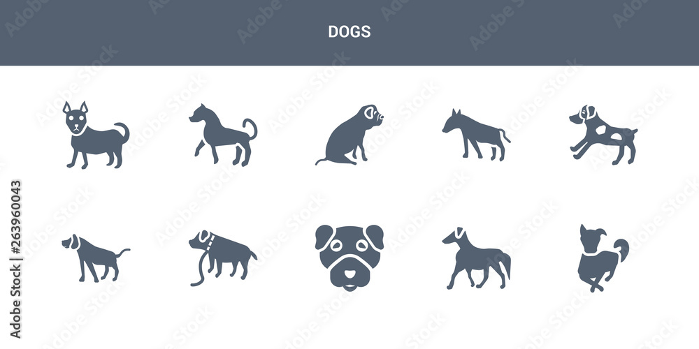 10 dogs vector icons such as border collie dog, borzoi dog, boston terrier dog, boxer bracco italiano contains brittany bull terrier bulldog, cane corso chihuahua dogs icons