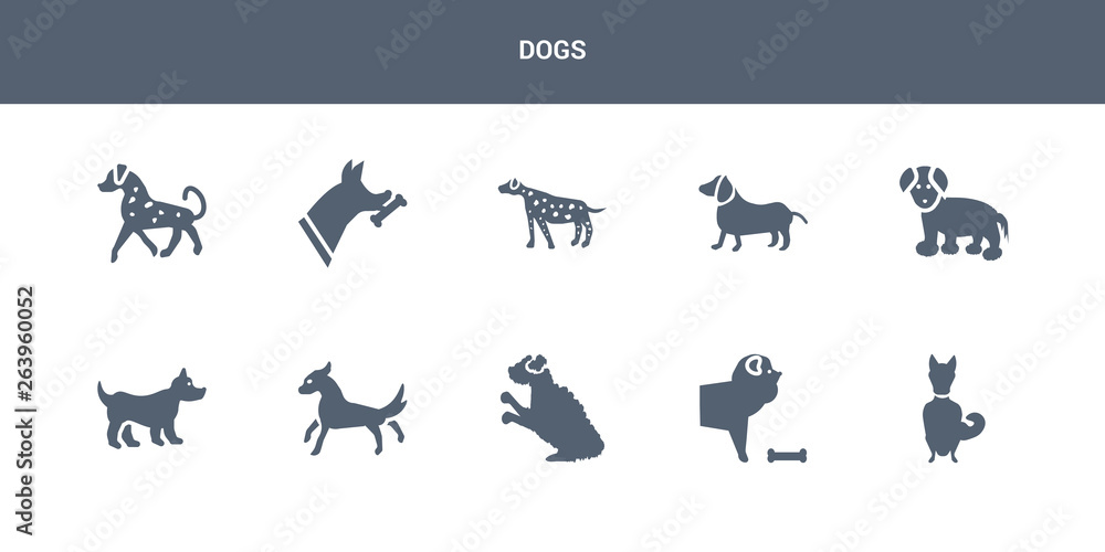 10 dogs vector icons such as chinook dog, chow chow dog, cockapoo dog, cocker spaniel corgi contains coton de tulear dachshund dalmatian doberman english setters dogs icons 10 dogs vector icons such as chinook dog, chow chow dog, cockapoo dog, cocker spaniel corgi contains coton de tulear dachshund dalmatian doberman english setters dogs icons