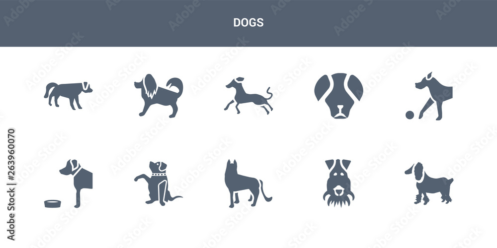 10 dogs vector icons such as field spaniel dog, fox terrier dog, german shepards dog, goldador golden retriever contains great dane great pyrenees greyhound havanese hovawart dogs icons 10 dogs vector icons such as field spaniel dog, fox terrier dog, german shepards dog, goldador golden retriever contains great dane great pyrenees greyhound havanese hovawart dogs icons