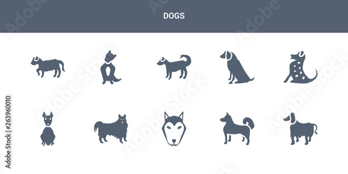 10 dogs vector icons such as afghan hound dog, akita dog, alaskan klee kai dog, american eskimo american hairless terrier contains american leopard hound water spaniel anatolian shepherd austrailian