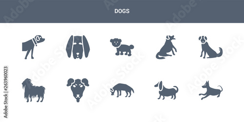 10 dogs vector icons such as basenji dog, basset hound dog, beagle dog, beauceron bergamasco contains berger picard bernese mountain bichon frise bloodhound boerboel dogs icons