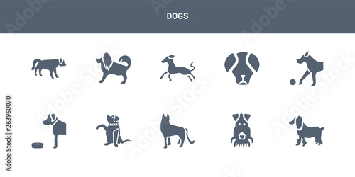 10 dogs vector icons such as field spaniel dog, fox terrier dog, german shepards dog, goldador golden retriever contains great dane great pyrenees greyhound havanese hovawart dogs icons