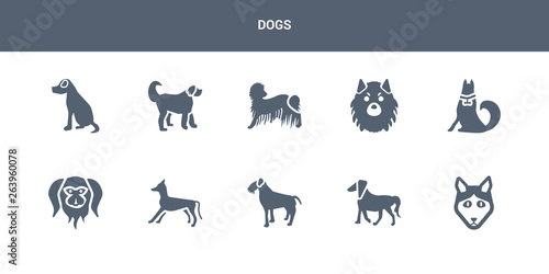 10 dogs vector icons such as husky dog, irish setter dog, irish terrier dog, italian greyhound japanese chin contains jindo keeshond komondor labradoodle vizsla dogs icons