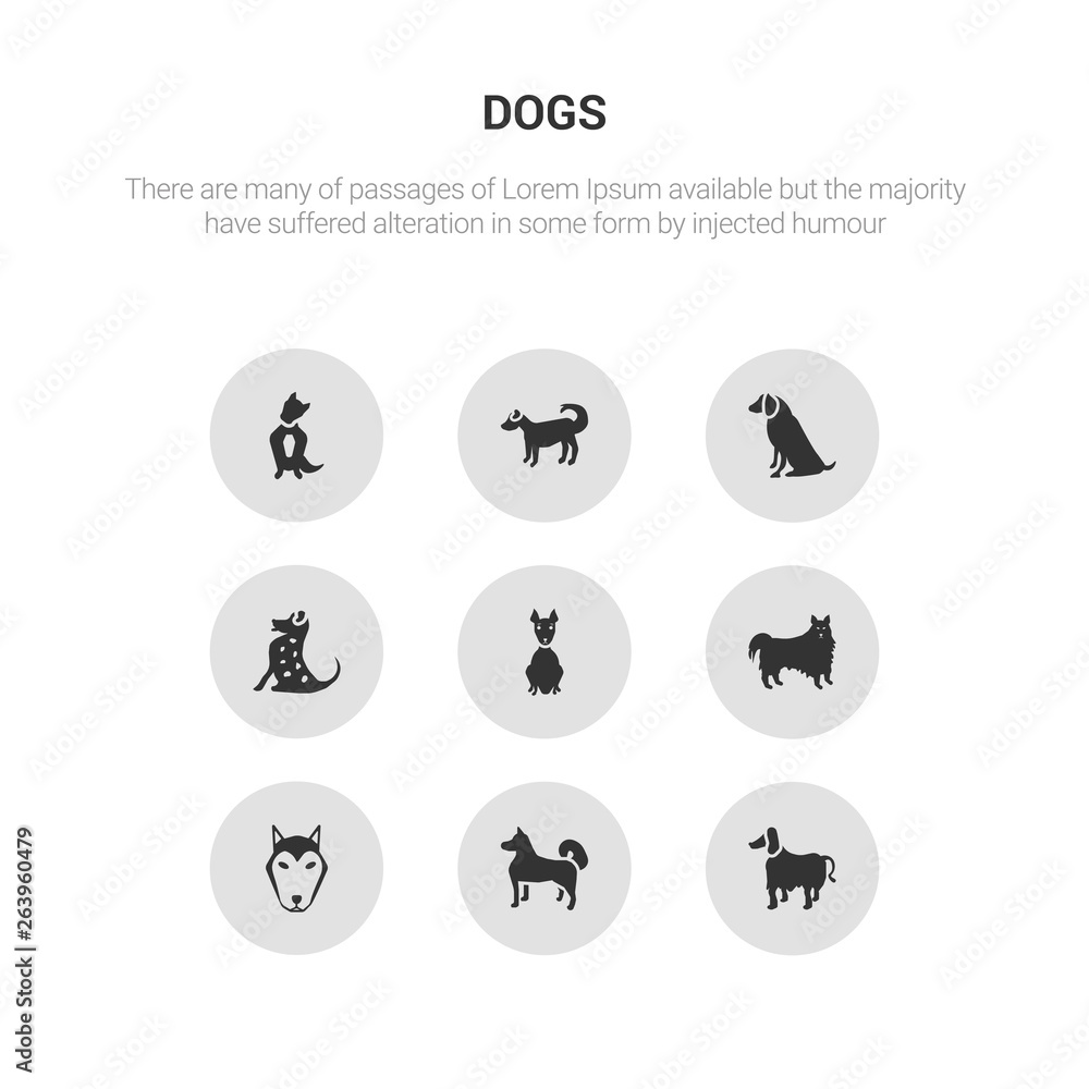 9 round vector icons such as afghan hound dog, akita dog, alaskan klee kai dog, american eskimo american hairless terrier contains american leopard hound water spaniel anatolian shepherd austrailian