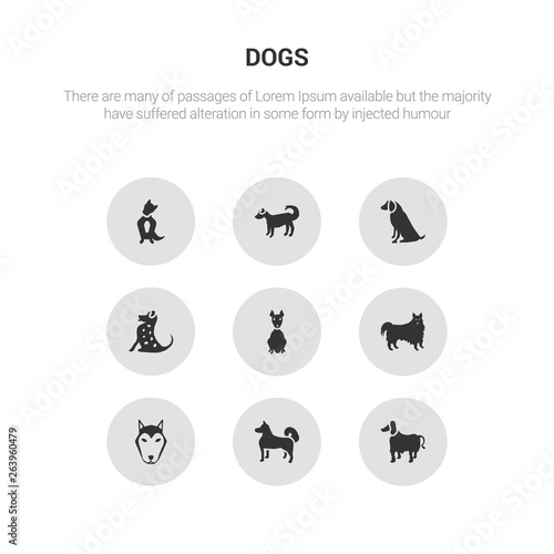 9 round vector icons such as afghan hound dog, akita dog, alaskan klee kai dog, american eskimo american hairless terrier contains american leopard hound water spaniel anatolian shepherd austrailian