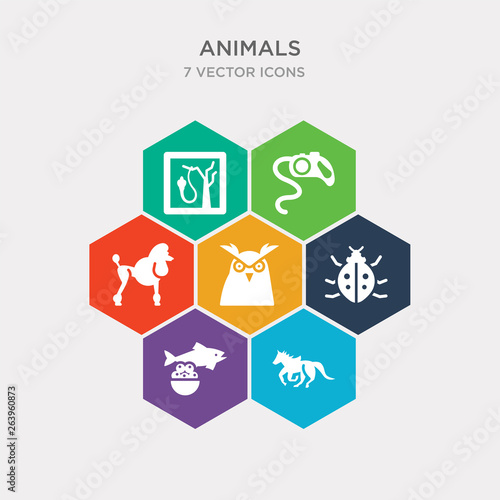 simple set of trapeze artists, caviar, app bug, big eyes owl icons, contains such as icons poodle, leash, herpetarium and more. 64x64 pixel perfect. infographics vector