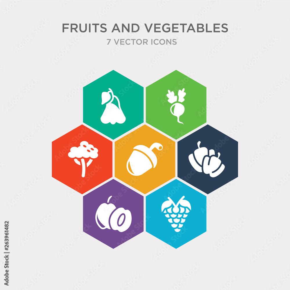 simple set of grape, plum, bell pepper, acorn icons, contains such as icons broccoli, radish, rose apple and more. 64x64 pixel perfect. infographics vector simple set of grape, plum, bell pepper, acorn icons, contains such as icons broccoli, radish, rose apple and more. 64x64 pixel perfect. infographics vector