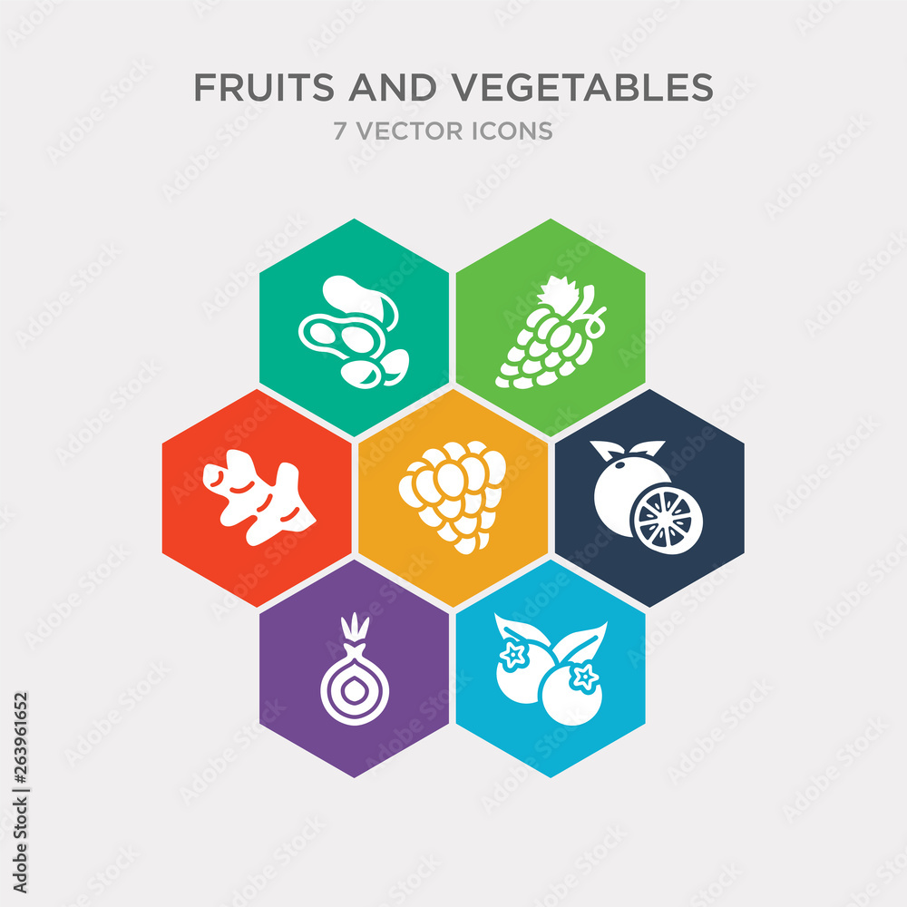 simple set of berries, onion, orange, raspberry icons, contains such as icons ginger, grapes, peanut and more. 64x64 pixel perfect. infographics vector