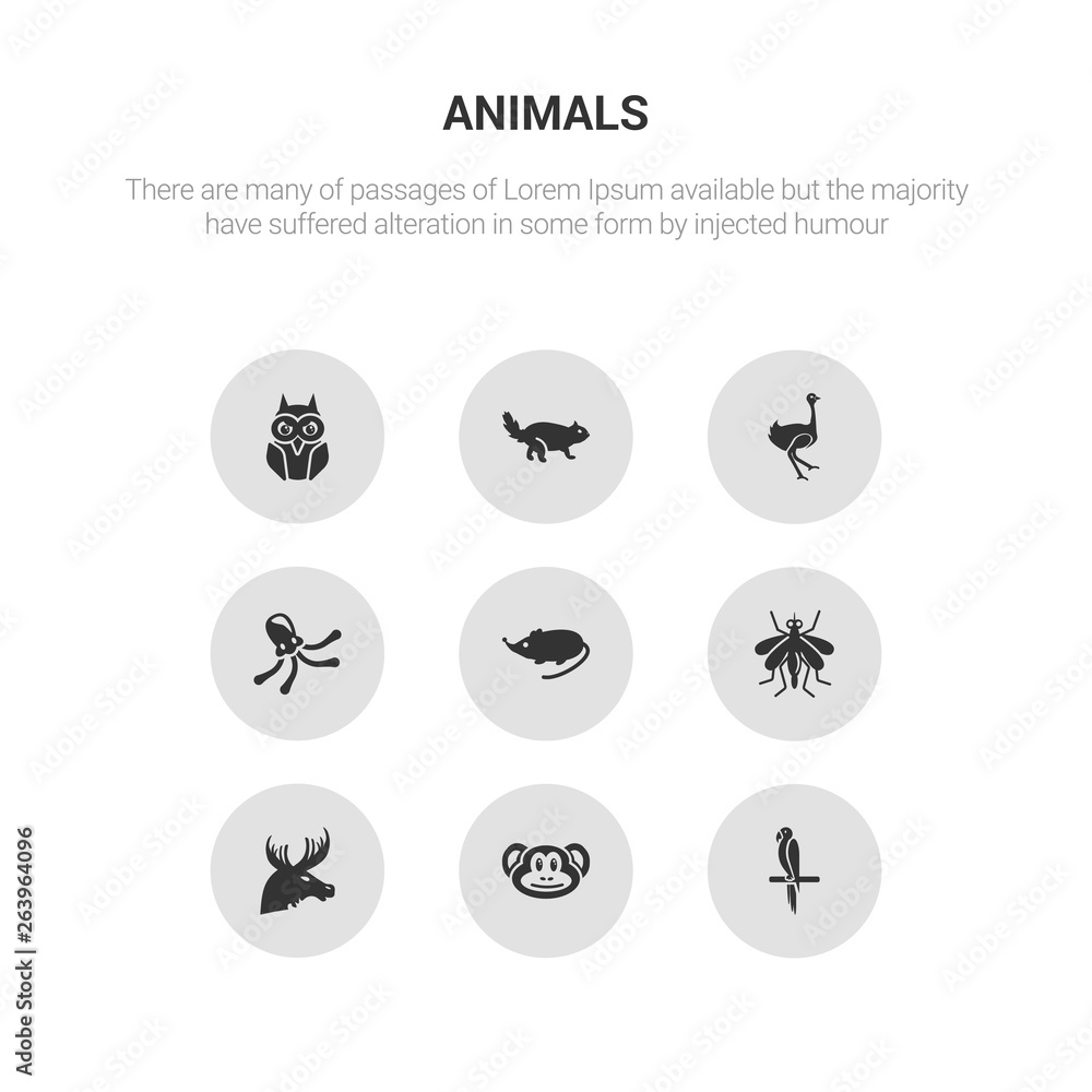 9 round vector icons such as macaw, monkey, moose, mosquito, mouse contains octopus, ostrich, otter, owl. macaw, monkey, icon3_, gray animals icons