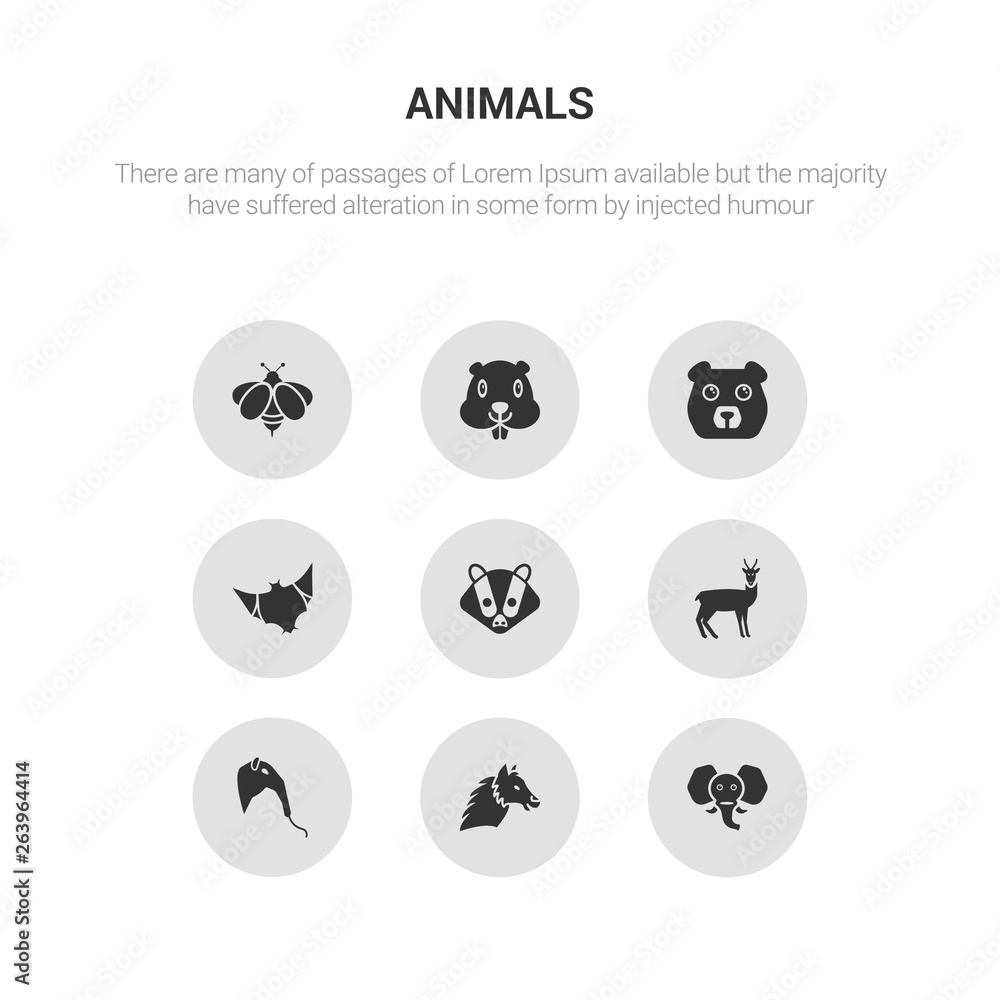 9 round vector icons such as elephant, alpaca, anteater, antelope, badger contains bat, bear, beaver, bee. elephant, alpaca, icon3_, gray animals icons 9 round vector icons such as elephant, alpaca, anteater, antelope, badger contains bat, bear, beaver, bee. elephant, alpaca, icon3_, gray animals icons