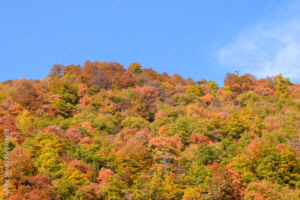 View over the surroundings hills and mountains during autumn, Macedonia View over the surroundings hills and mountains during autumn, Macedonia