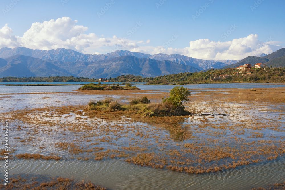 Wetland landscape. Montenegro. View of Tivat Salina  ( Tivatska Solila ) - special botanical and animal reserve
