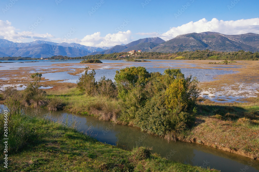 Wetland landscape on a sunny spring day. Montenegro. View of special botanical and animal reserve Tivat Salina  ( Tivatska Solila )
