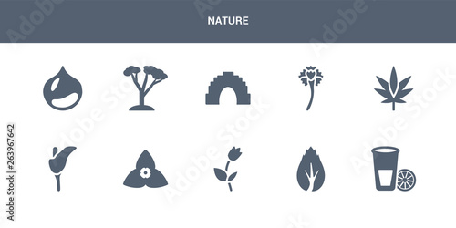 10 nature vector icons such as lemon and juice drop out, birch, bell, bougainvillea, calla contains cannabis, carnation, cave, cedar, chestnut. nature icons