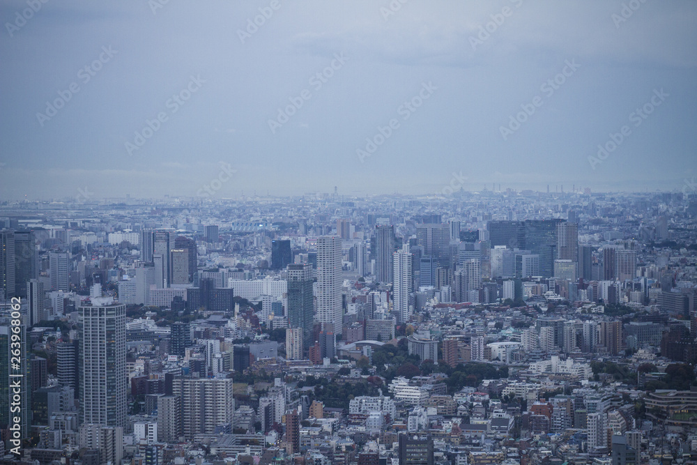 Skyline View in Tokyo #1