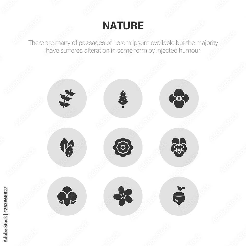 9 round vector icons such as oak, oleander, orchid, pansy, peony contains peppermint, petunia, pine, pinnate. oak, oleander, icon3_, gray nature icons