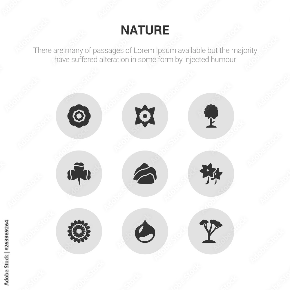 9 round vector icons such as cedar, chestnut, chrysanthemum, clematis, cliff contains clover, cypress, daffodil, dahlia. cedar, chestnut, icon3_, gray nature icons