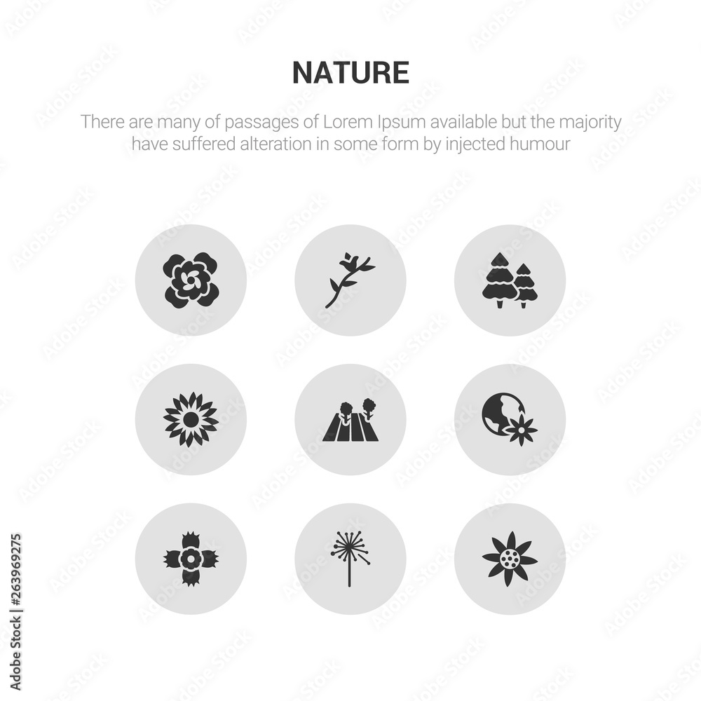 9 round vector icons such as daisy, dandelion, dianthus, eco globe, field contains flower, forest, freesia, gardenia. daisy, dandelion, icon3_, gray nature icons