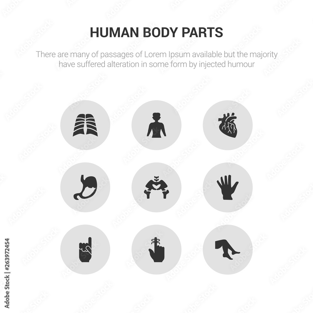 9 round vector icons such as foot side view, hand finger with a ribbon, hand gesture raising the index finger, hand showing palm, hip bone contains human abdomen, human artery, human body standing 9 round vector icons such as foot side view, hand finger with a ribbon, hand gesture raising the index finger, hand showing palm, hip bone contains human abdomen, human artery, human body standing