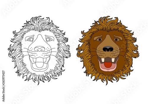 Lion head