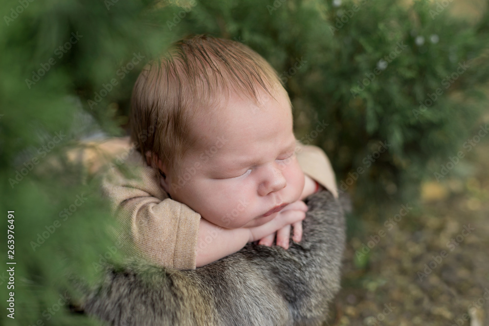 newborn child.  newborn photo shoot. baby. photo shoot in nature
